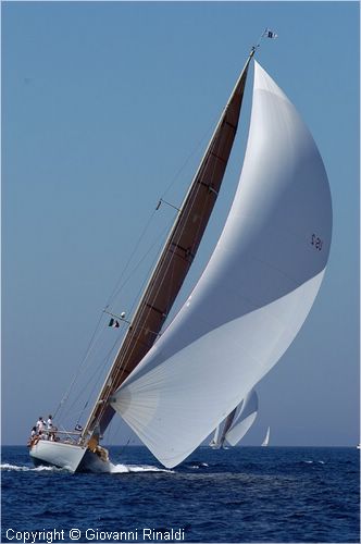 DSC_2405.jpg