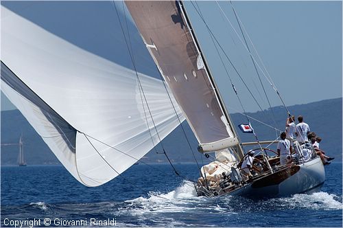 DSC_2416.jpg