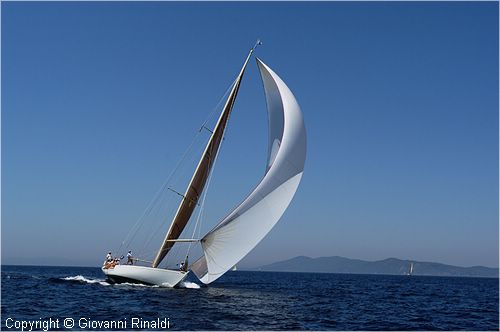 DSC_2424.jpg