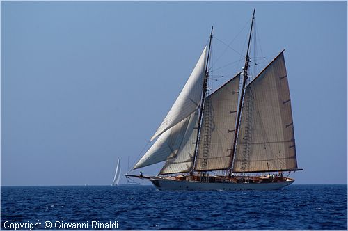 DSC_2454.jpg