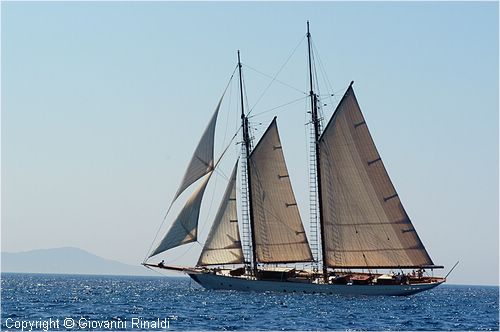 DSC_2461.jpg