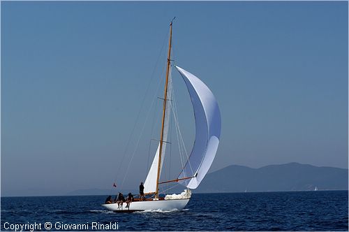 DSC_2498.jpg