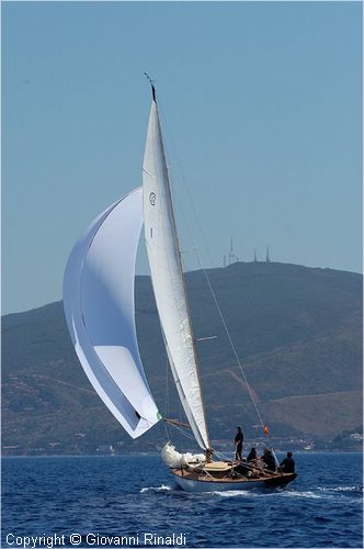 DSC_2515.jpg