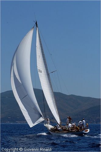 DSC_2538.jpg