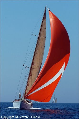 DSC_2544.jpg