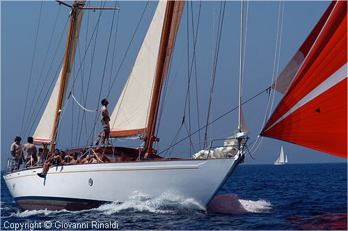 DSC_2547.jpg