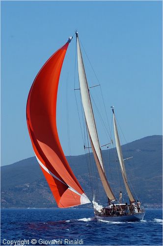 DSC_2558.jpg