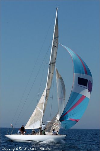DSC_2561.jpg
