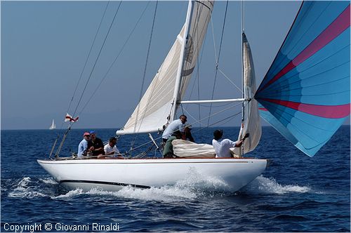 DSC_2562.jpg