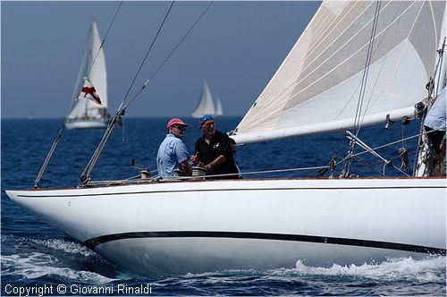DSC_2564.jpg