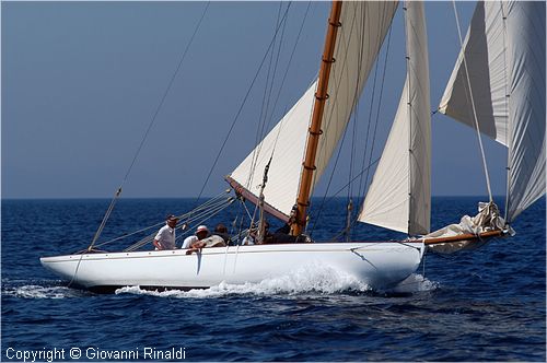 DSC_2614.jpg