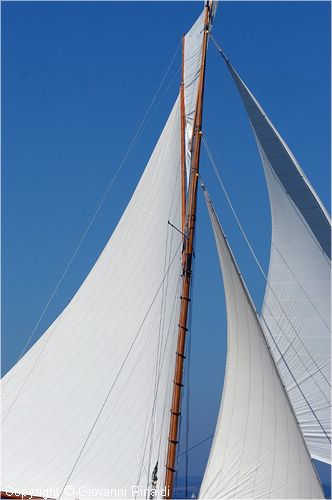 DSC_2617.jpg