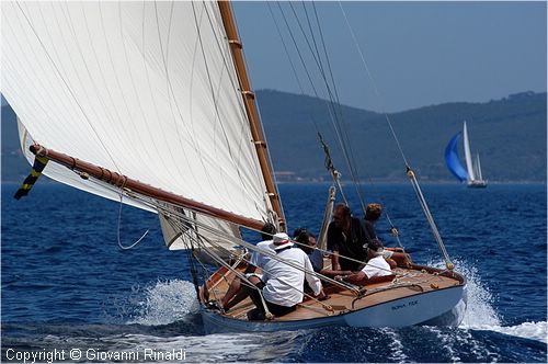 DSC_2621.jpg