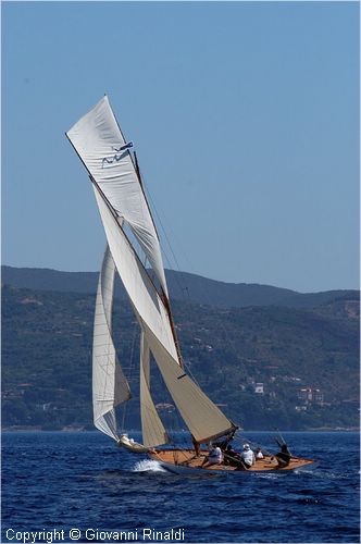 DSC_2630.jpg
