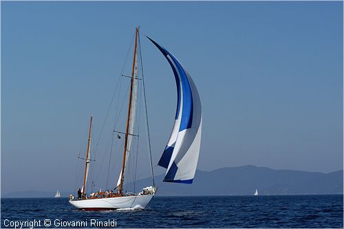DSC_2668.jpg