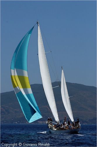 DSC_2740.jpg