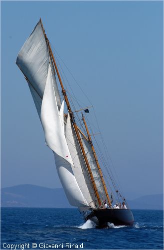 DSC_2798.jpg
