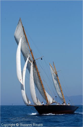 DSC_2803.jpg