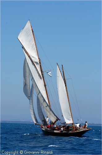 DSC_2829.jpg