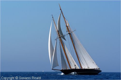 DSC_2842.jpg