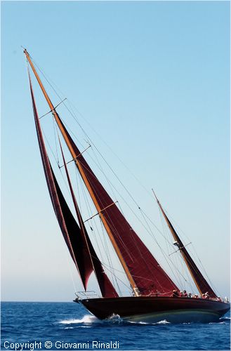 DSC_2892.jpg
