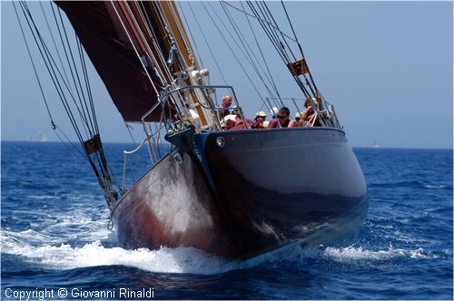 DSC_2897.jpg