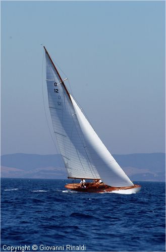DSC_2970.jpg