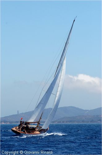 DSC_2975.jpg