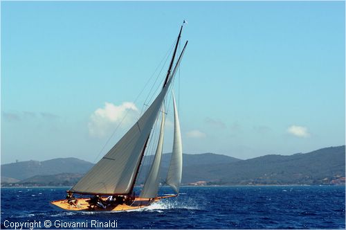 DSC_3083.jpg