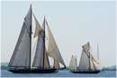 DSC_1576.jpg