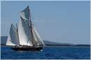 DSC_1917.jpg