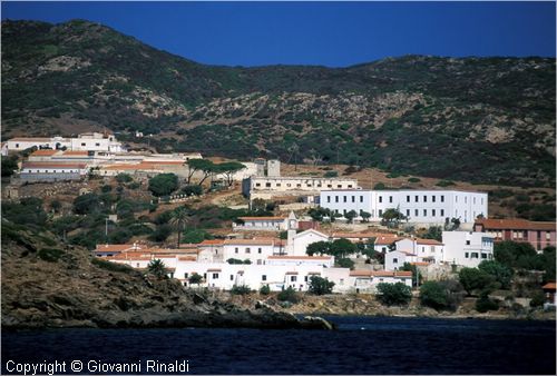 asinara0004.jpg