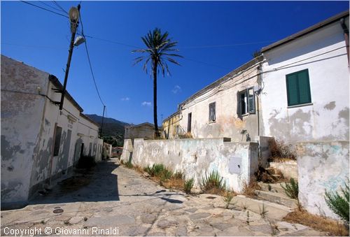 asinara0008.jpg