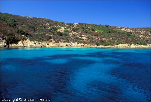 asinara0009.jpg