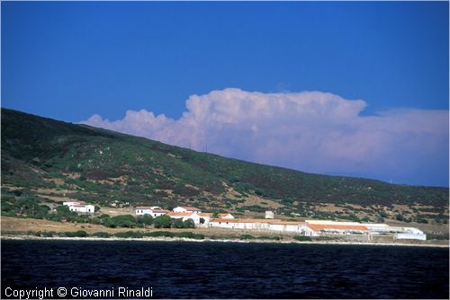 asinara0013.jpg