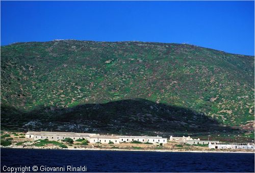 asinara0015.jpg