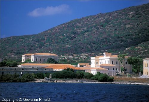 asinara0017.jpg