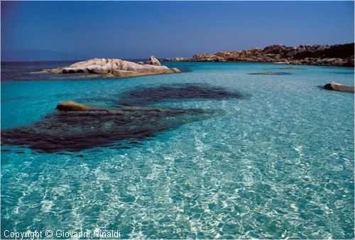 asinara0037.jpg