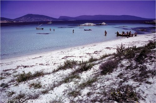 asinara0041.jpg