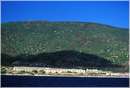 asinara0015.jpg