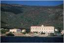 asinara0021.jpg