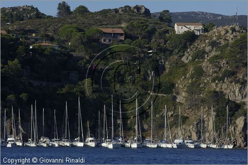 ITALY - TUSCANY - TOSCANA - (Parco dell'Arcipelago Toscano) - ISOLA DI CAPRAIA (LI) - Veduta dal mare della rada del porto