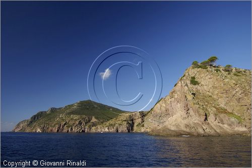 ITALY - TUSCANY - TOSCANA - (Parco dell'Arcipelago Toscano) - ISOLA DI CAPRAIA (LI) - La costa orientale presso la Punta della Civitata