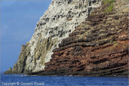 ITALY - TUSCANY - TOSCANA - (Parco dell'Arcipelago Toscano) - ISOLA DI CAPRAIA (LI) - La costa meridionale presso la Cala Rossa e la Punta dello Zenobito