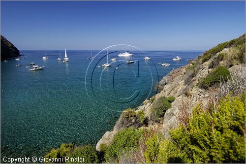 ITALY - TUSCANY - TOSCANA - (Parco dell'Arcipelago Toscano) - ISOLA DI CAPRAIA (LI) - Cala della Mortola lungo la costa nordorientale