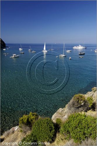 ITALY - TUSCANY - TOSCANA - (Parco dell'Arcipelago Toscano) - ISOLA DI CAPRAIA (LI) - Cala della Mortola lungo la costa nordorientale