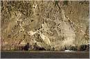 capraia_1488.jpg