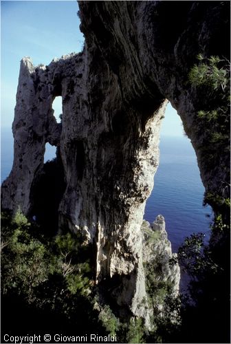 capri0010.jpg