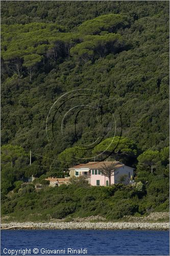 ITALY - TUSCANY - TOSCANA - ISOLA D'ELBA (LI) - una casa presso Cavo sulla costa est