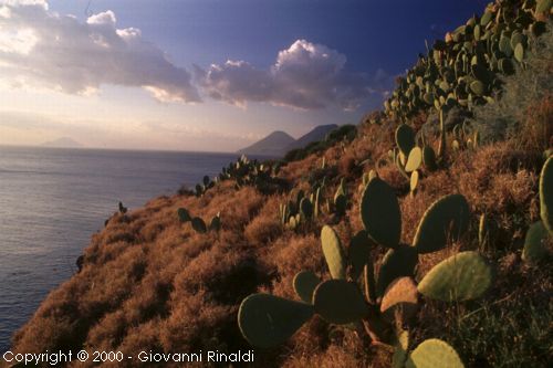 Lipari14.jpg